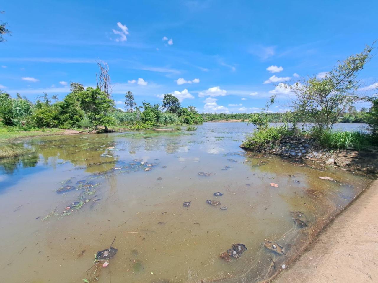 ภาพประกอบที่ 8