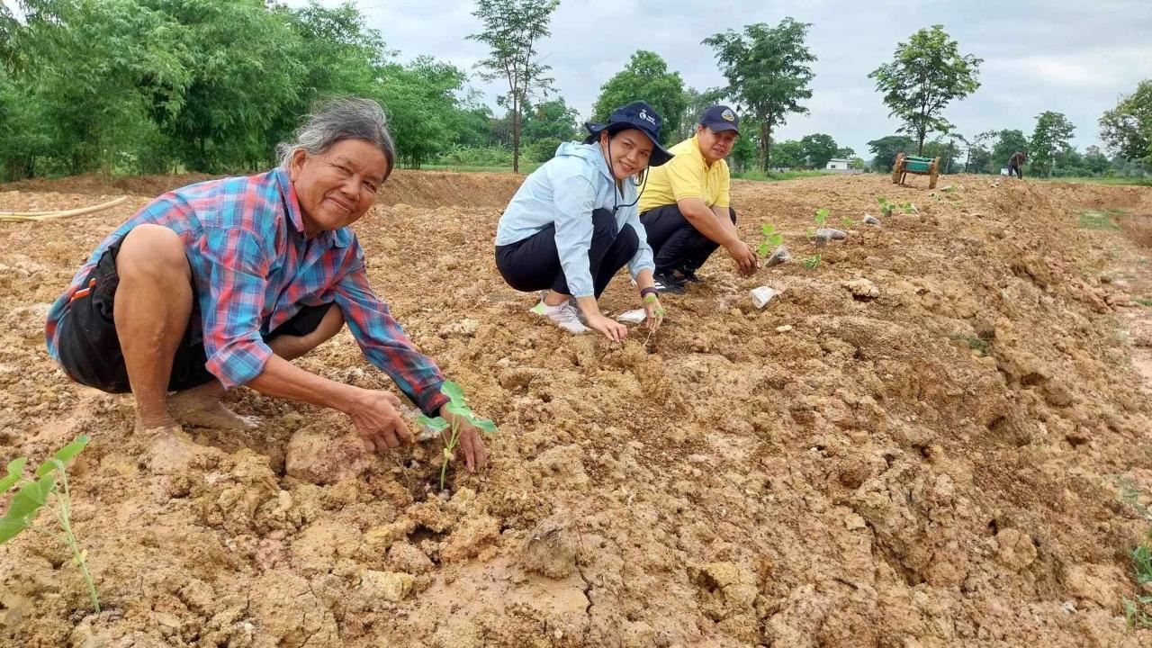 ภาพประกอบที่ 8