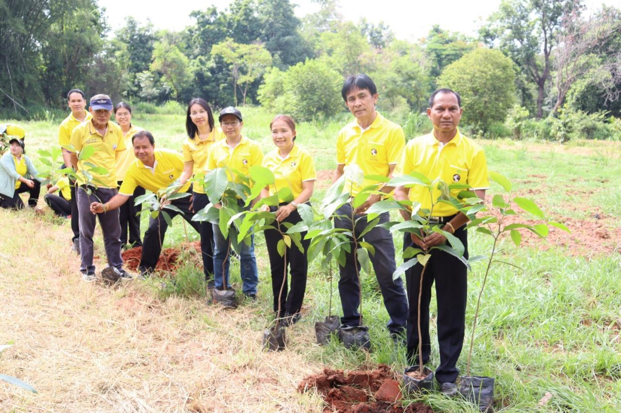 ภาพประกอบที่ 3