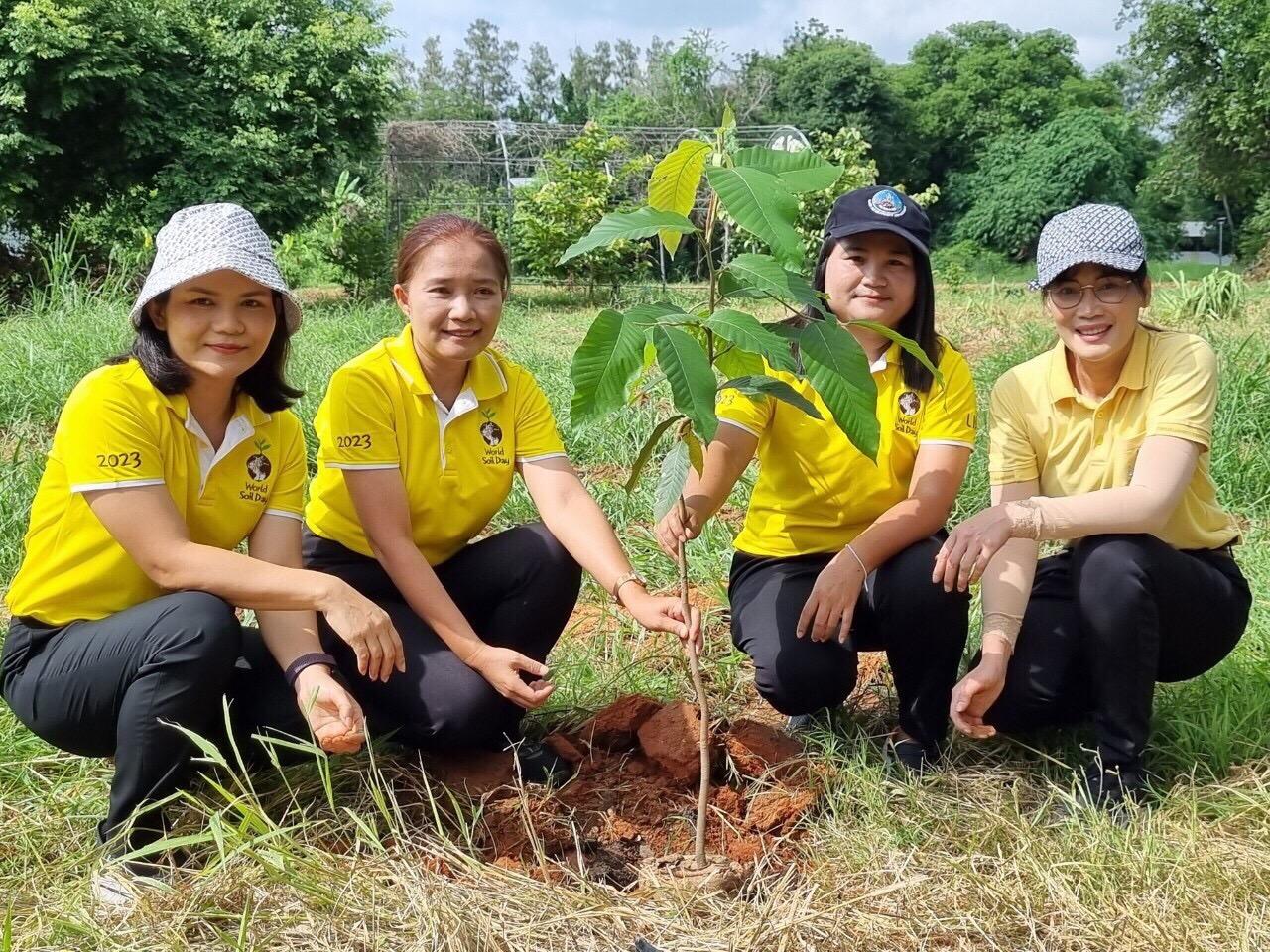 ภาพประกอบที่ 4