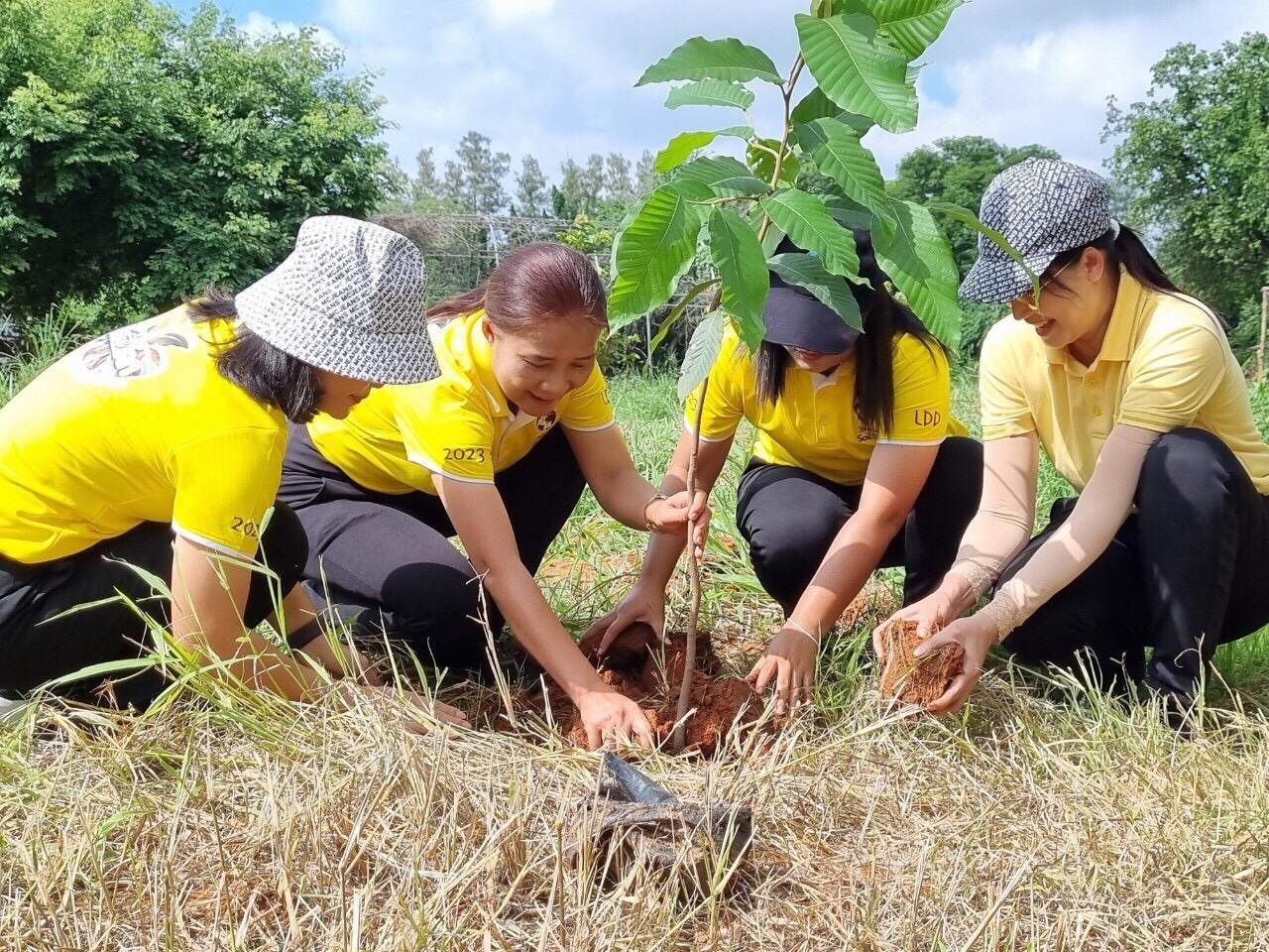 ภาพประกอบที่ 5