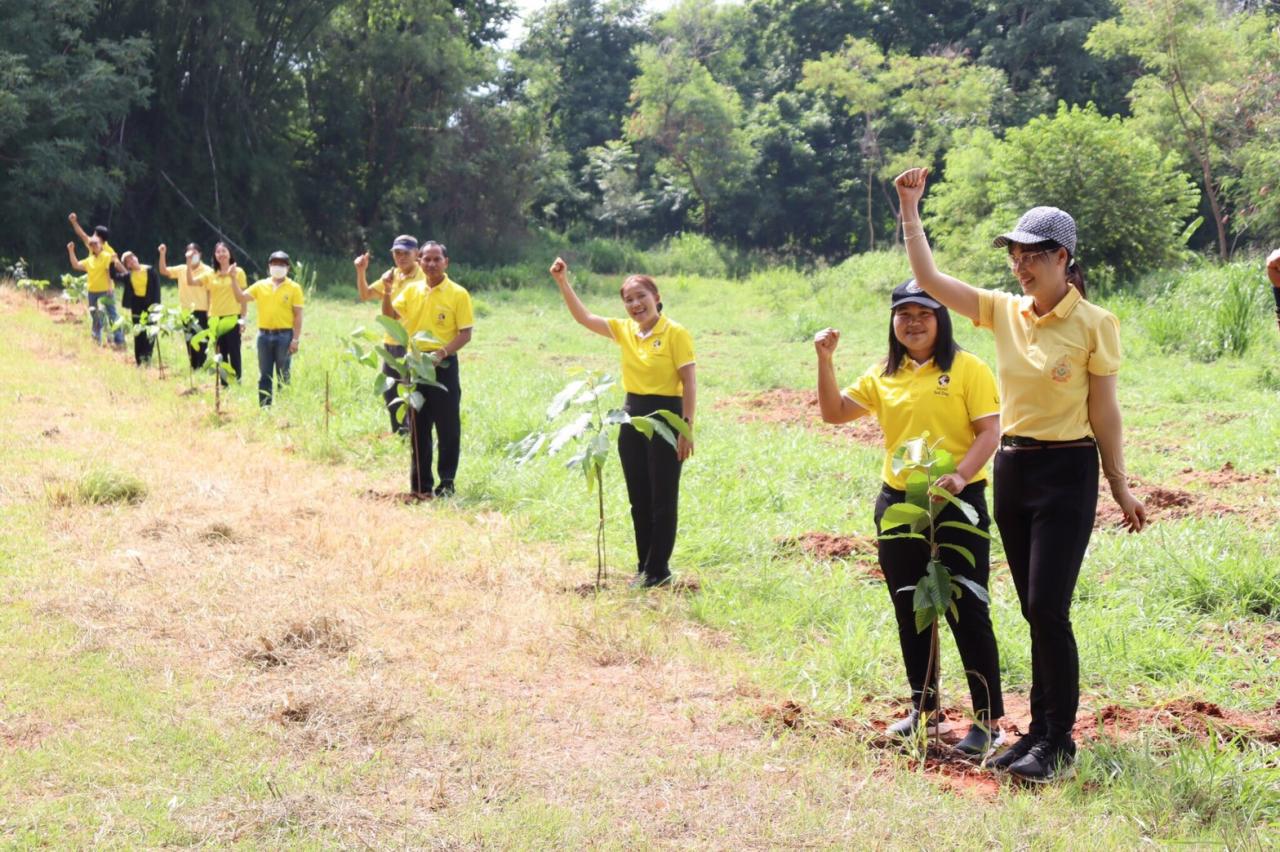 ภาพประกอบที่ 6