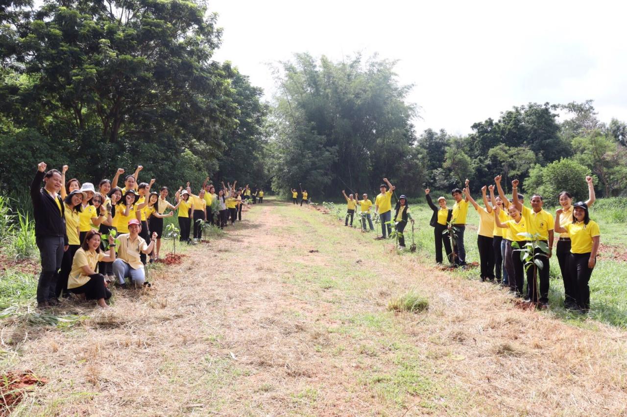 ภาพประกอบที่ 7