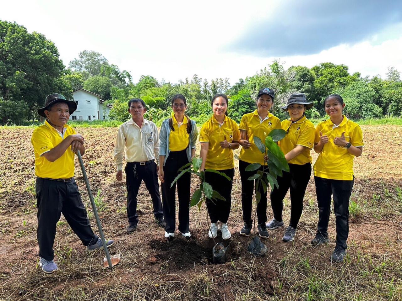 ภาพประกอบที่ 11