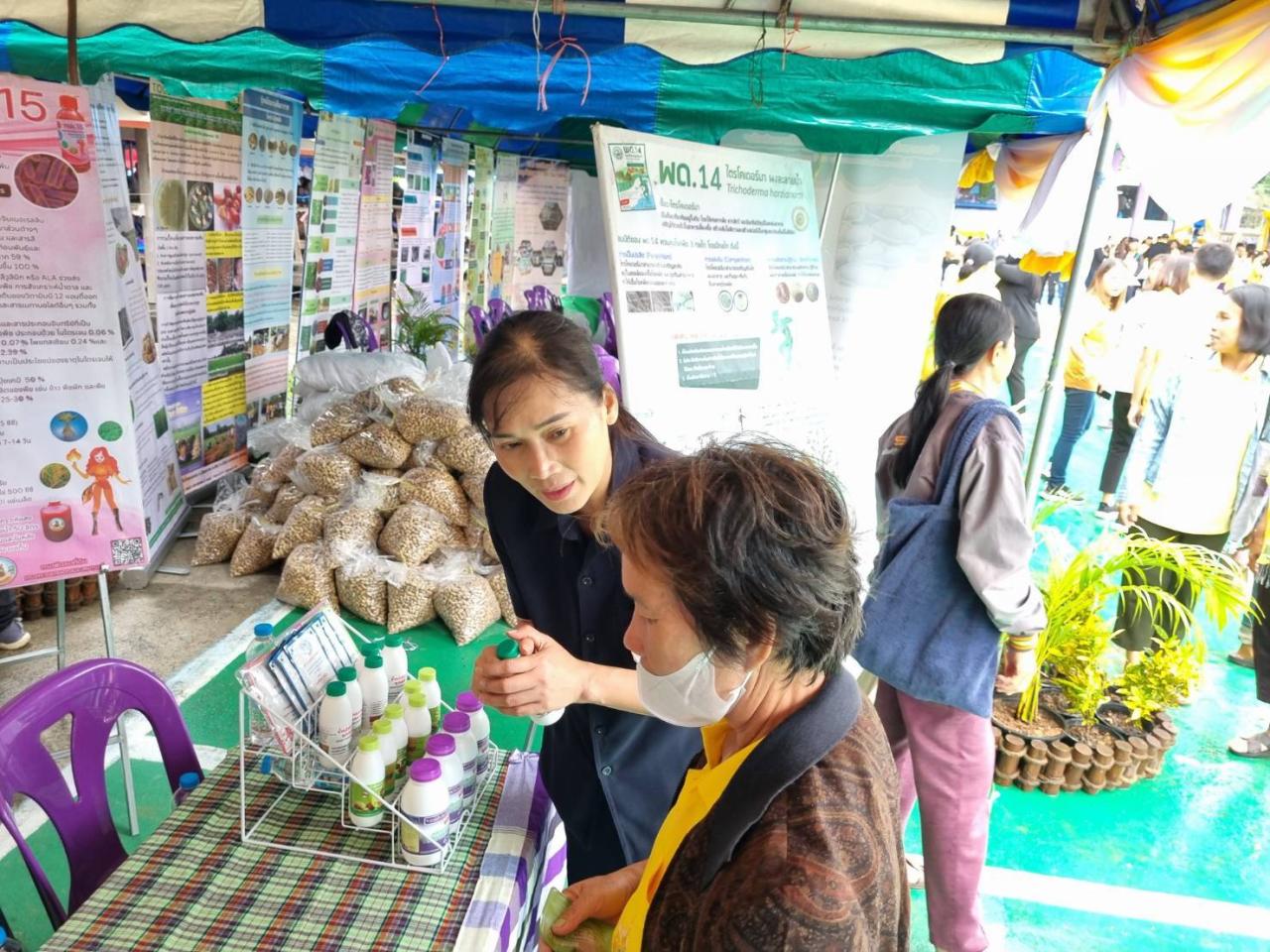 ภาพประกอบที่ 11