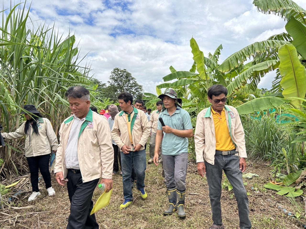 ภาพประกอบที่ 4