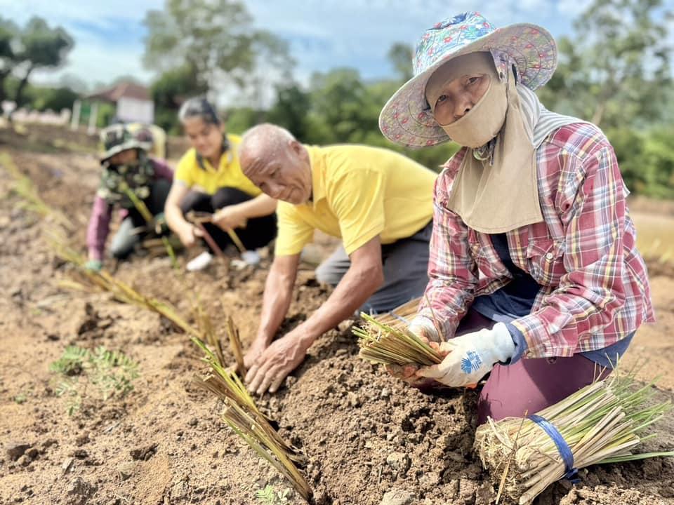 ภาพประกอบที่ 3