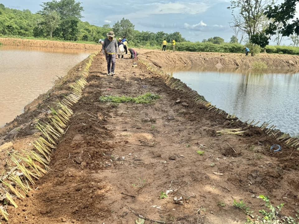 ภาพประกอบที่ 4