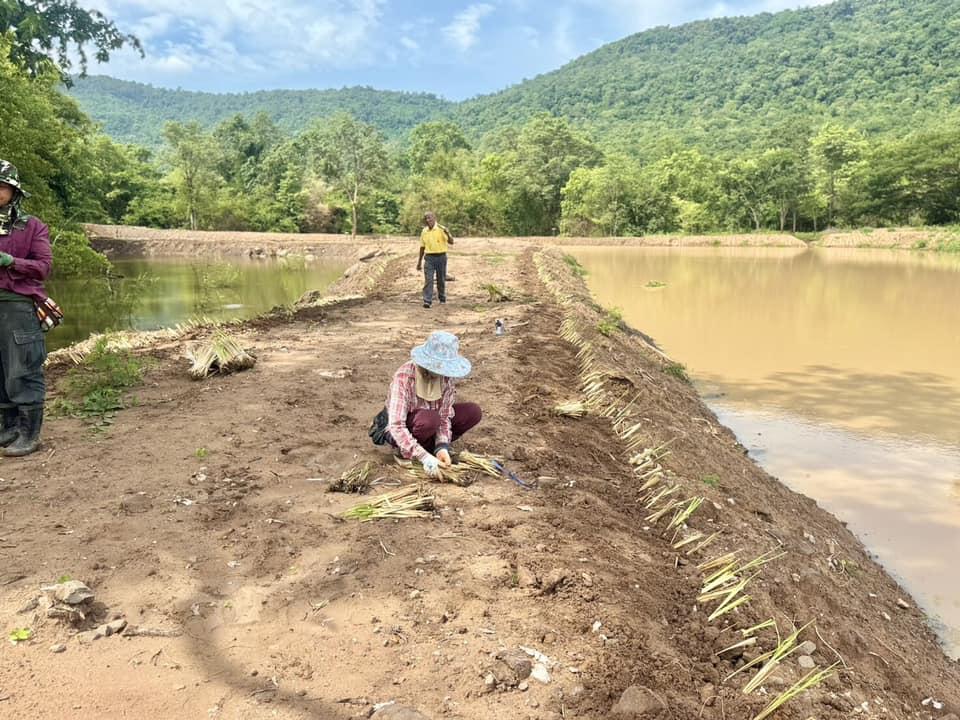 ภาพประกอบที่ 5