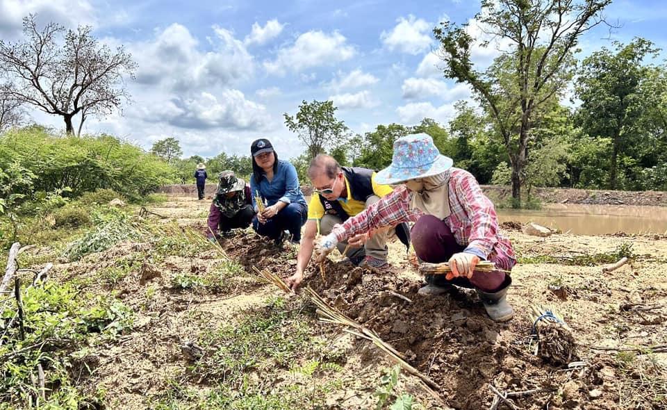 ภาพประกอบที่ 8