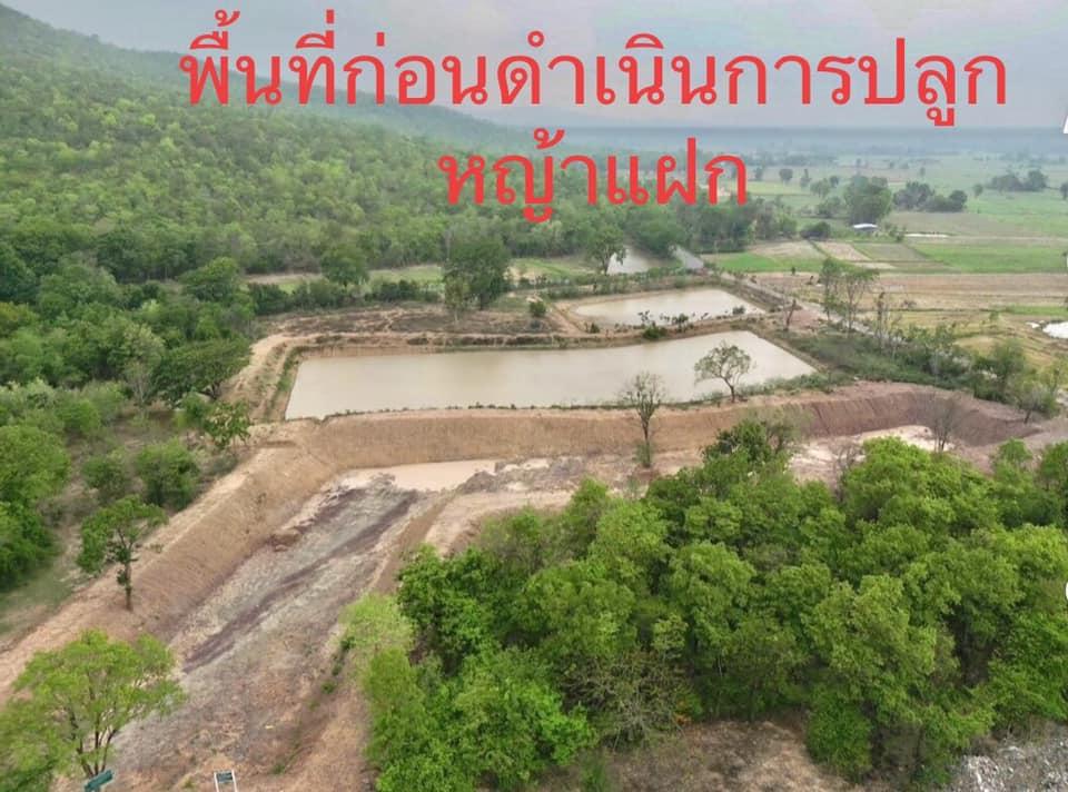 ภาพประกอบที่ 11