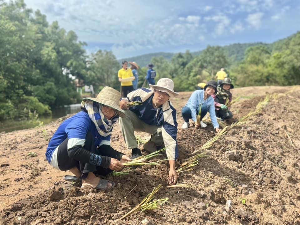 ภาพประกอบที่ 12