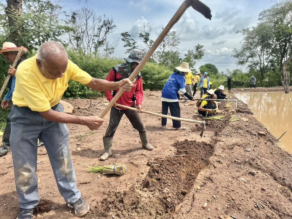 ภาพประกอบที่ 15