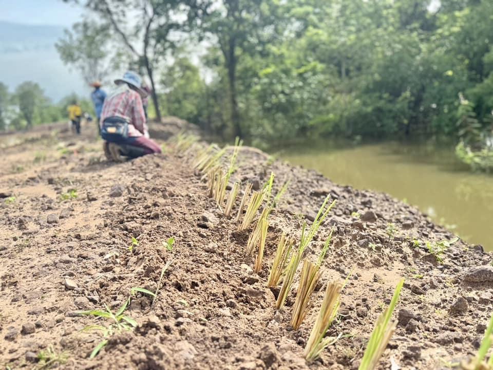 ภาพประกอบที่ 16