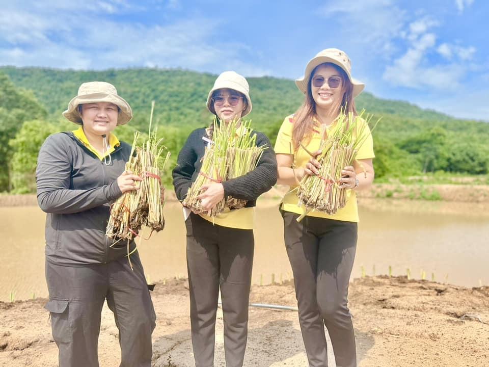 ภาพประกอบที่ 17