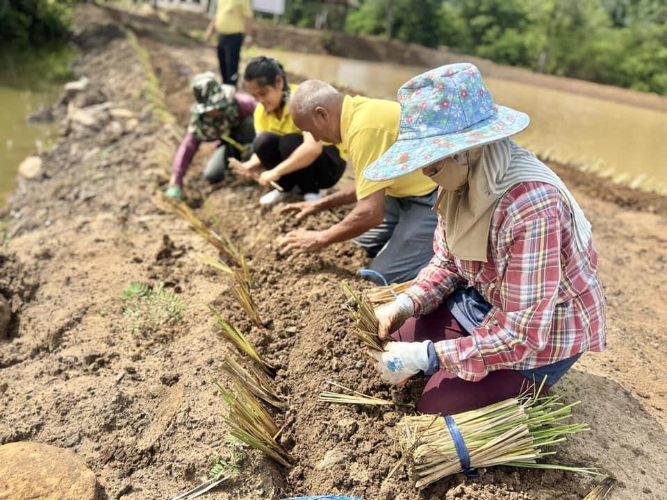 ภาพประกอบที่ 21
