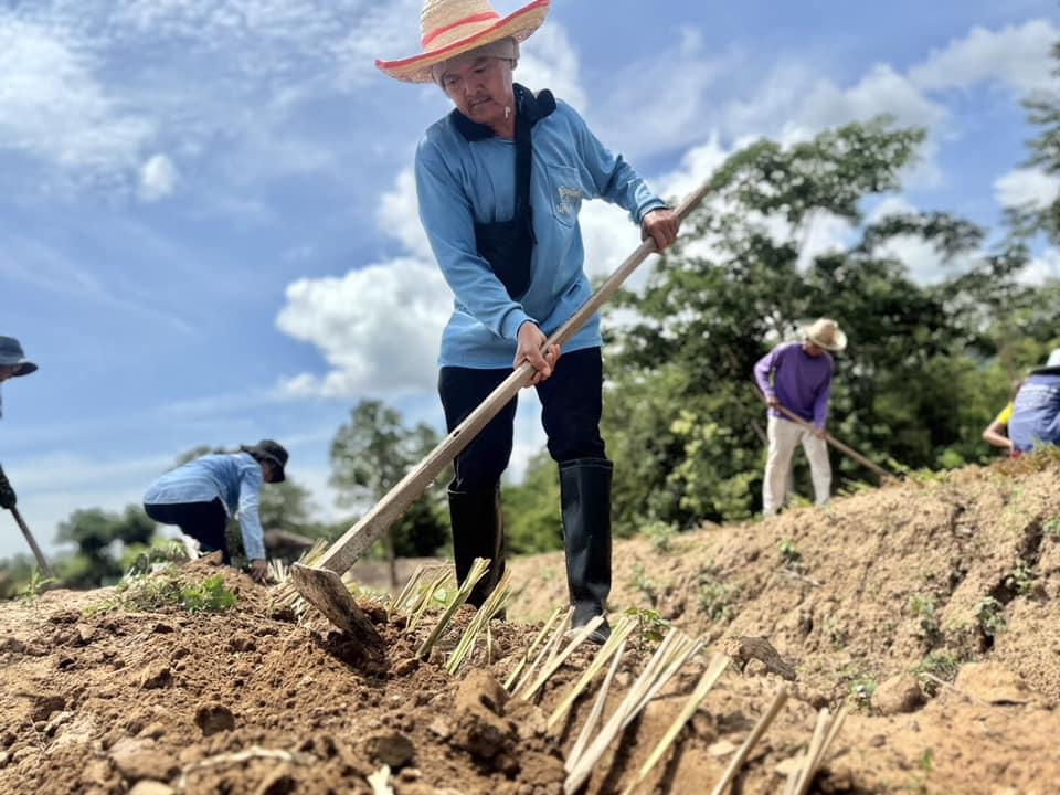 ภาพประกอบที่ 22