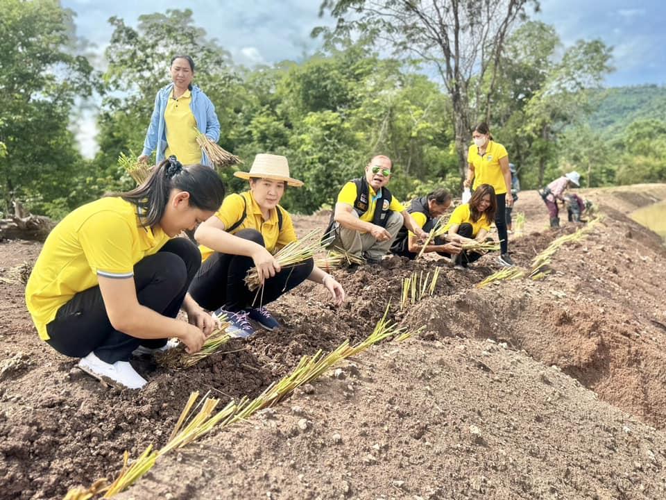 ภาพประกอบที่ 25