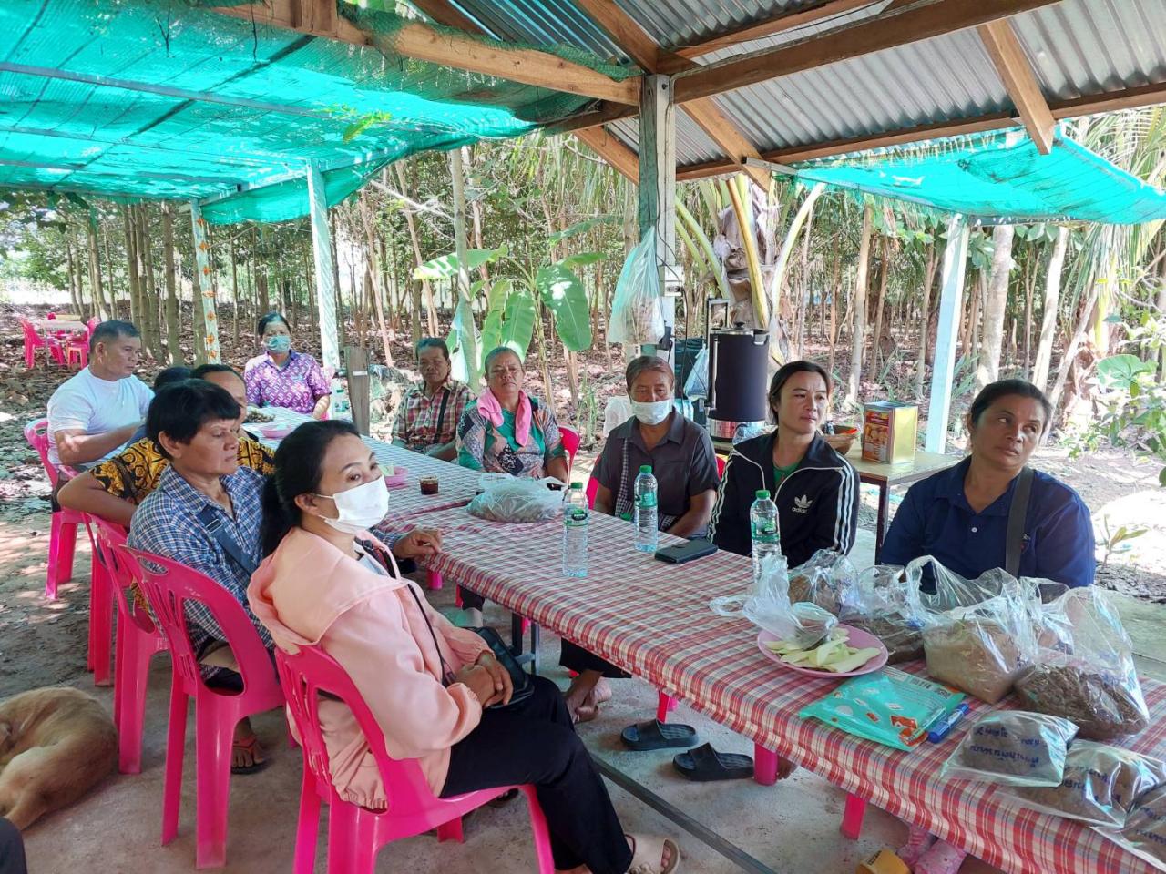 ภาพประกอบที่ 1