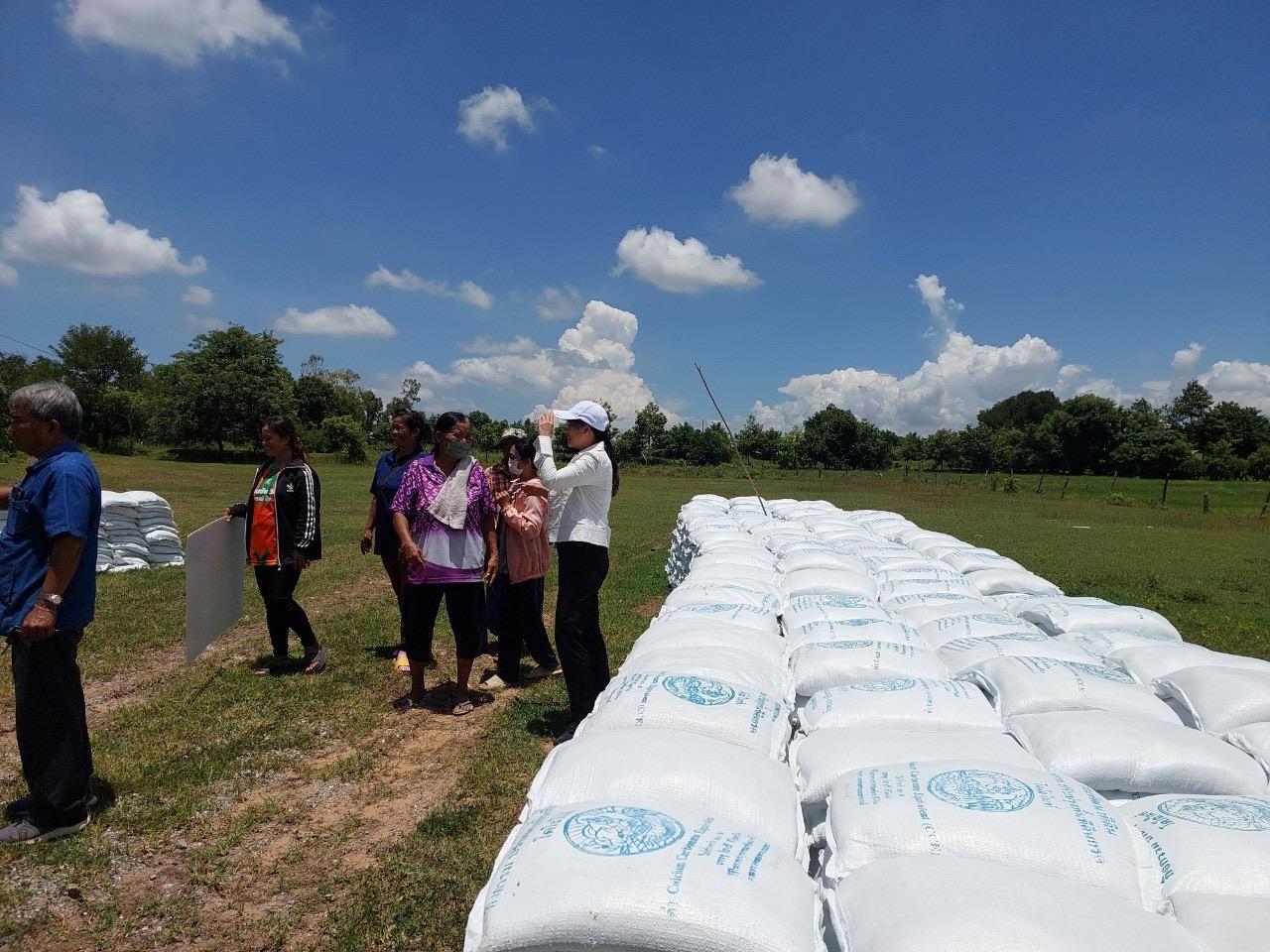 ภาพประกอบที่ 15