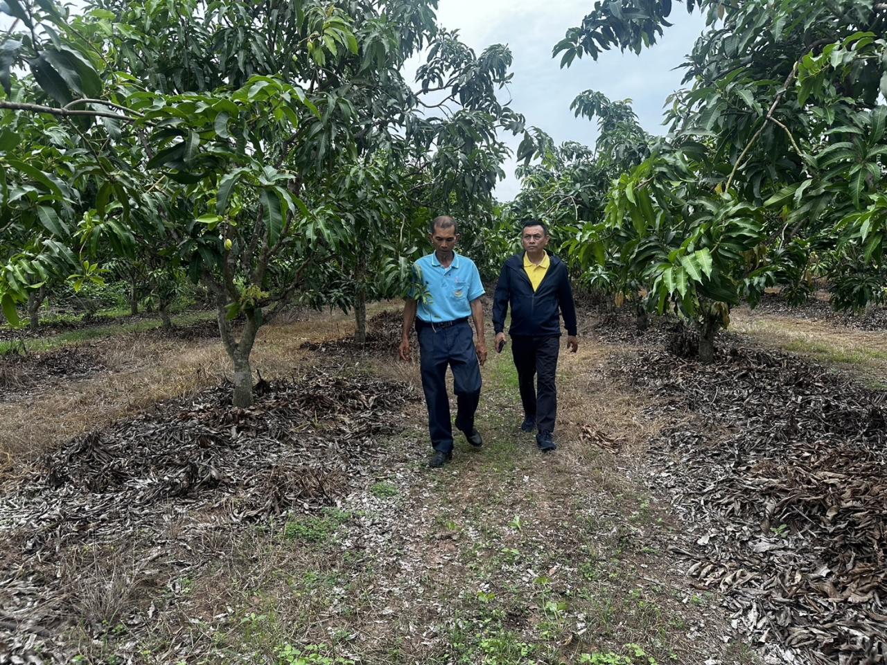 ภาพประกอบที่ 5