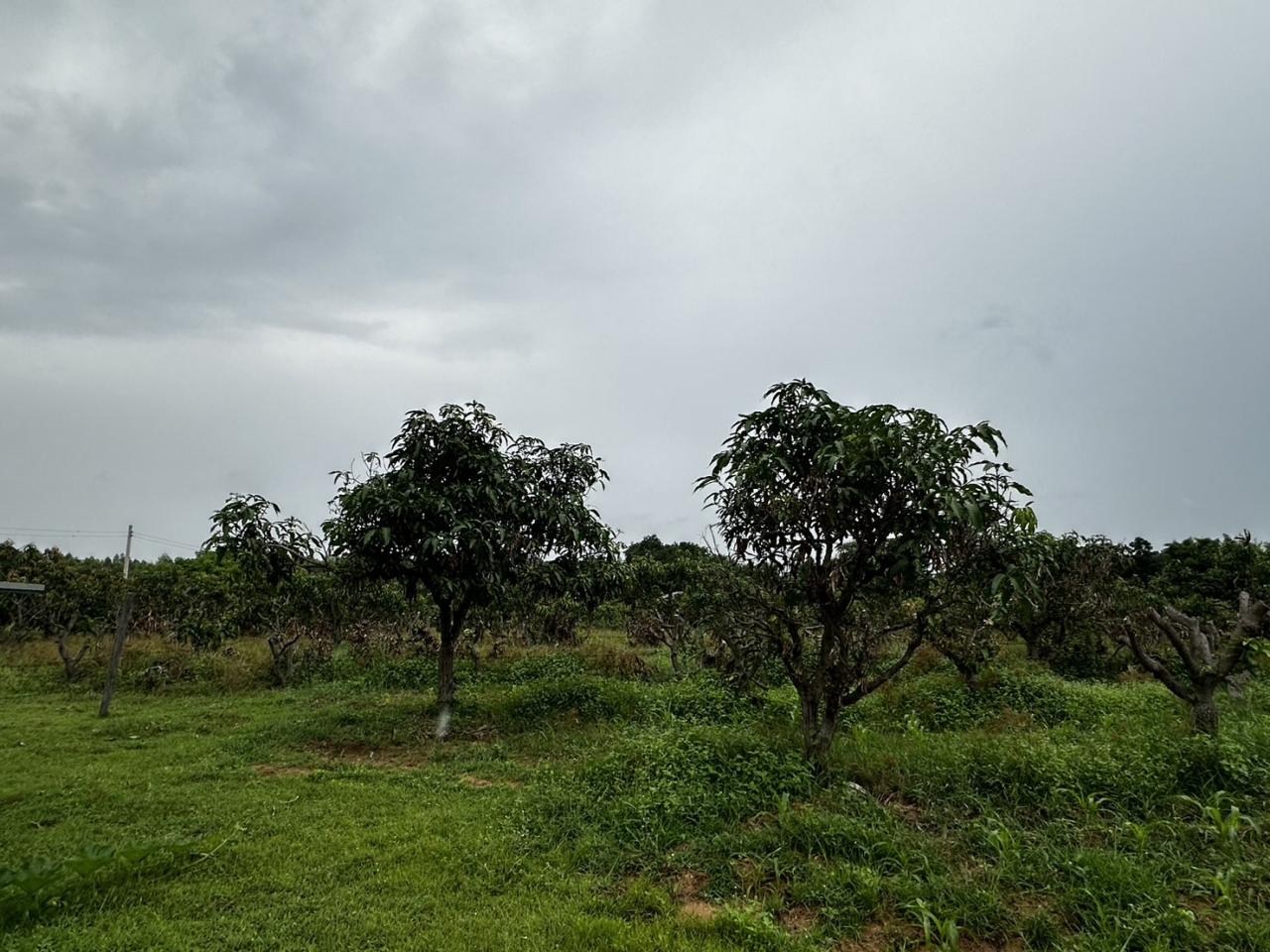 ภาพประกอบที่ 10