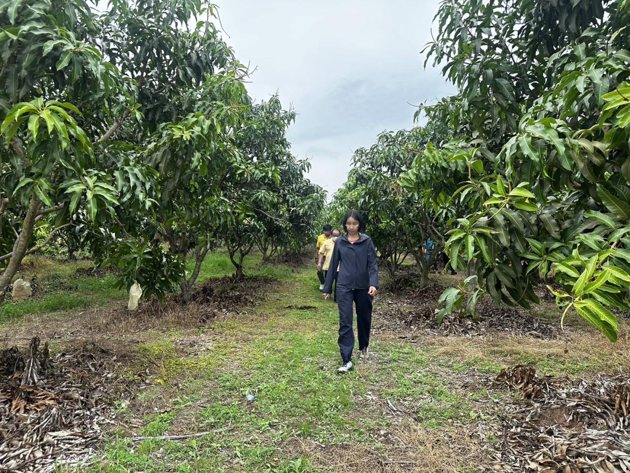 ภาพประกอบที่ 11