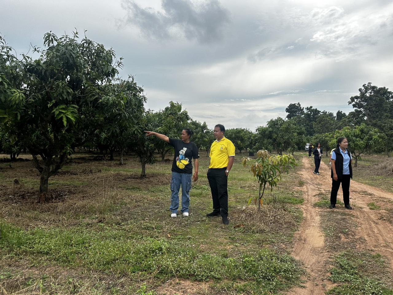 ภาพประกอบที่ 12
