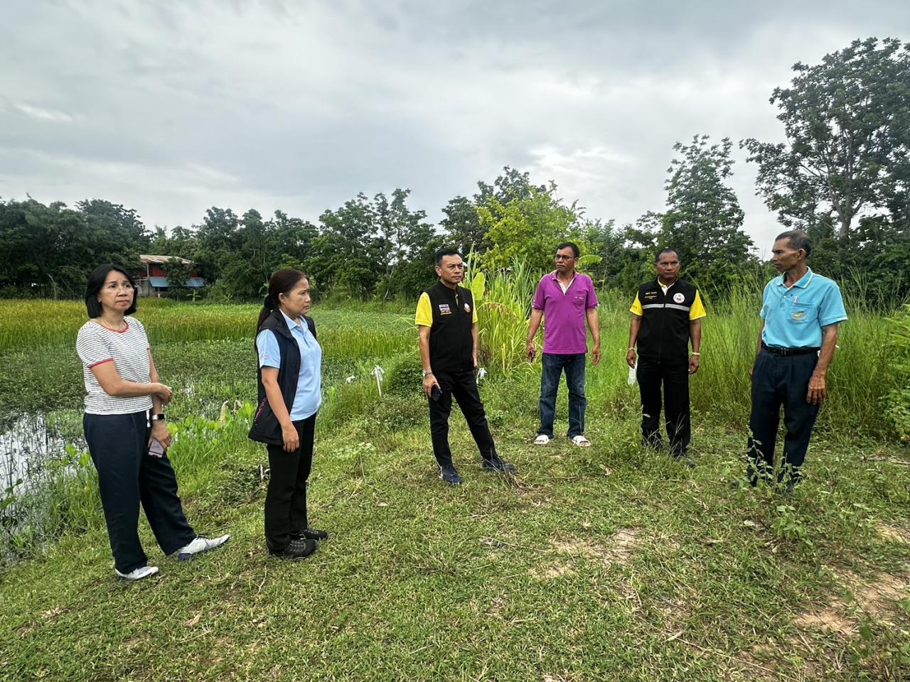 ภาพประกอบที่ 13