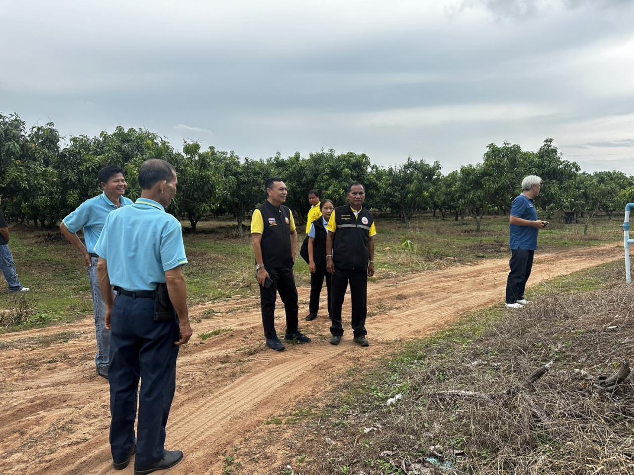 ภาพประกอบที่ 16