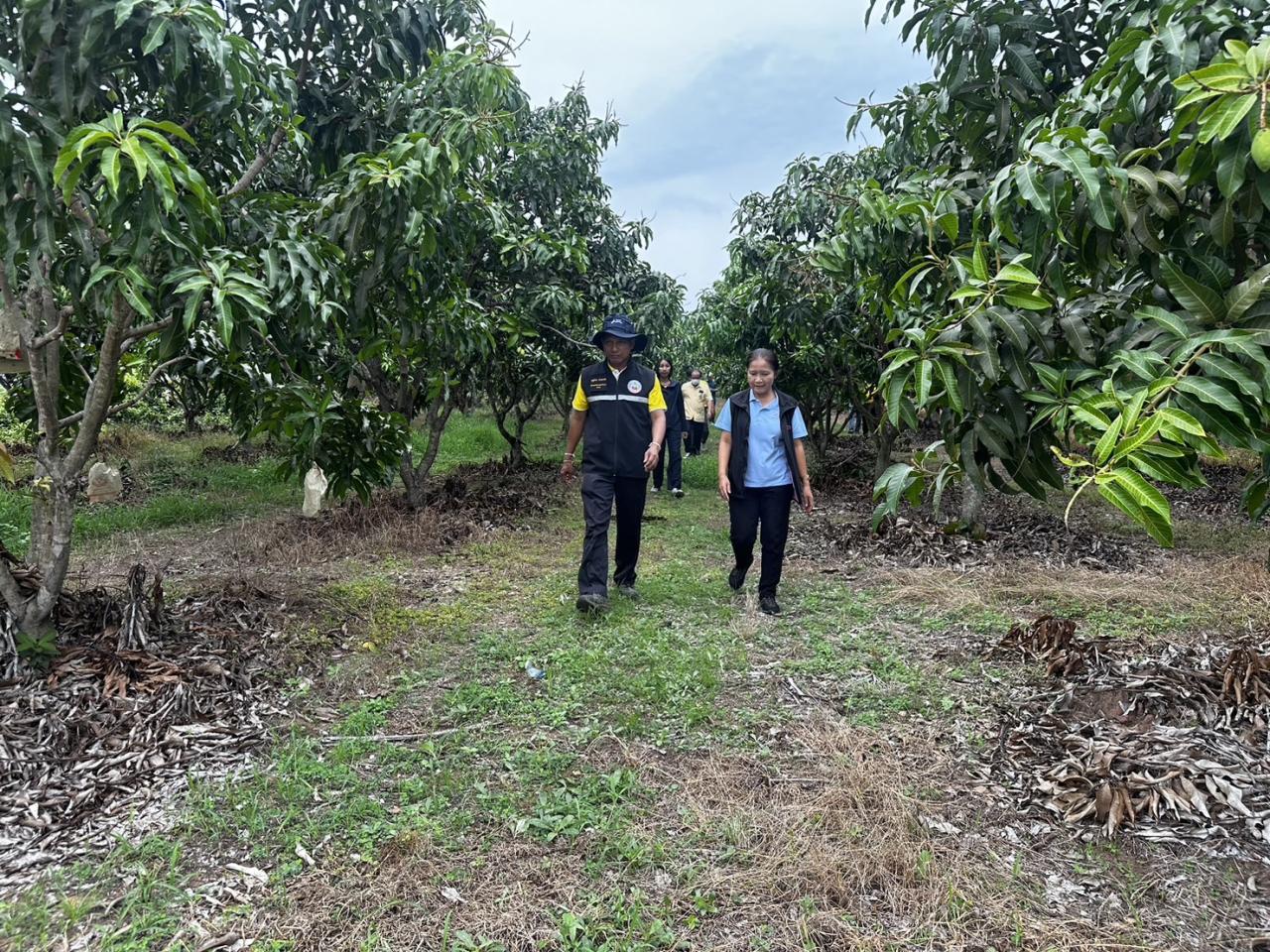 ภาพประกอบที่ 27