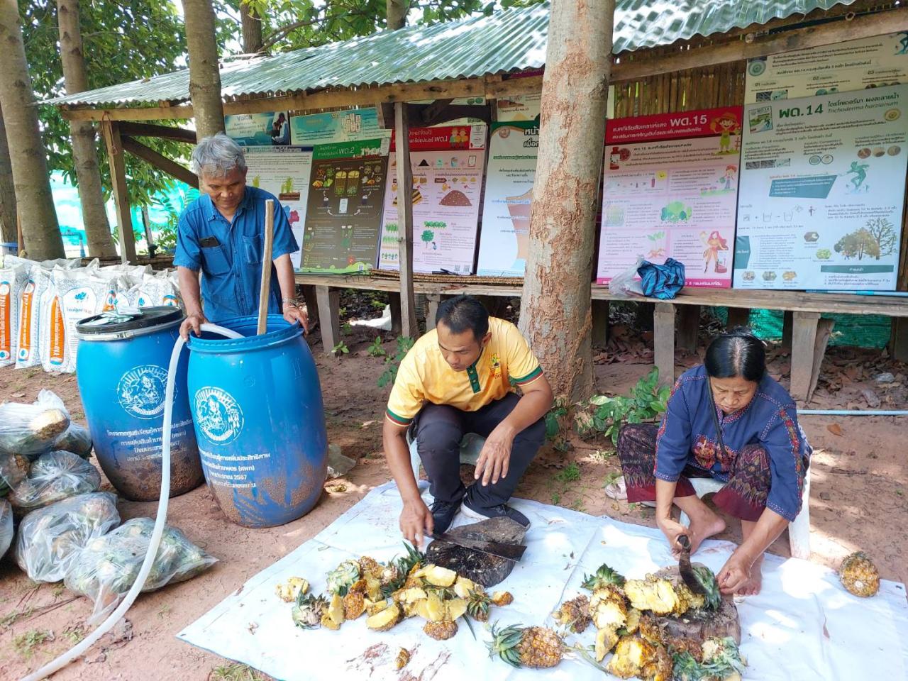 ภาพประกอบที่ 2