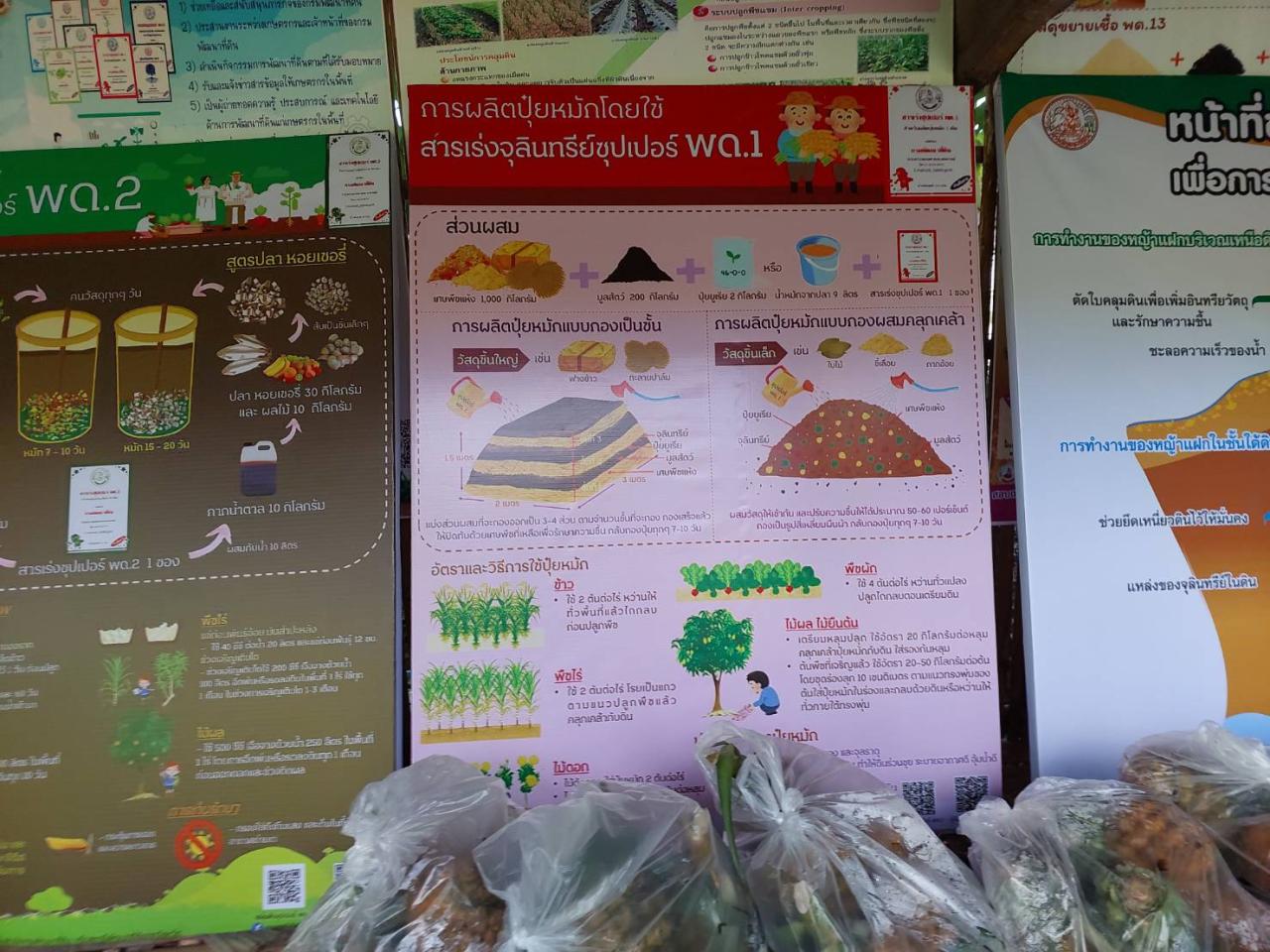 ภาพประกอบที่ 11