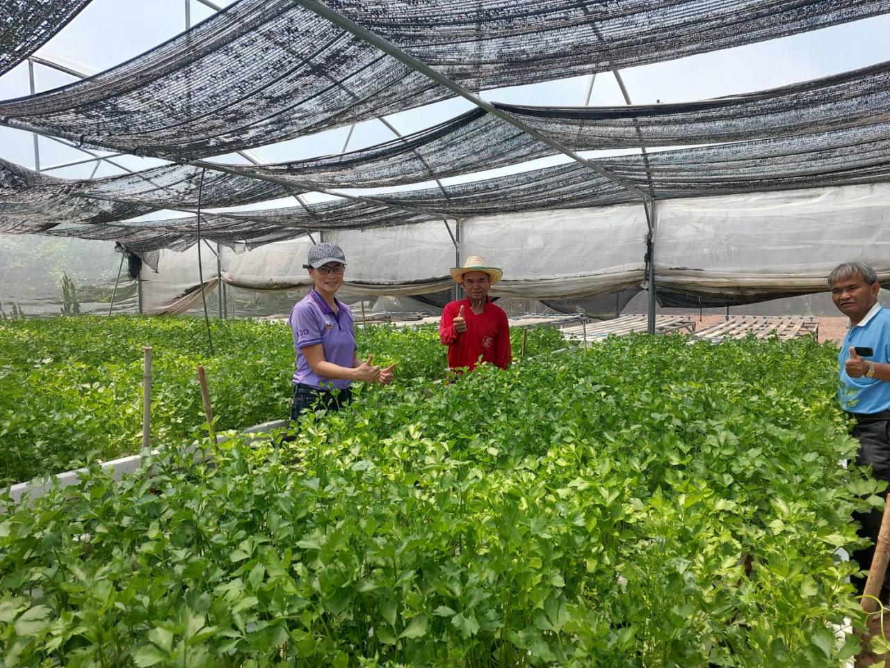 ภาพประกอบที่ 31