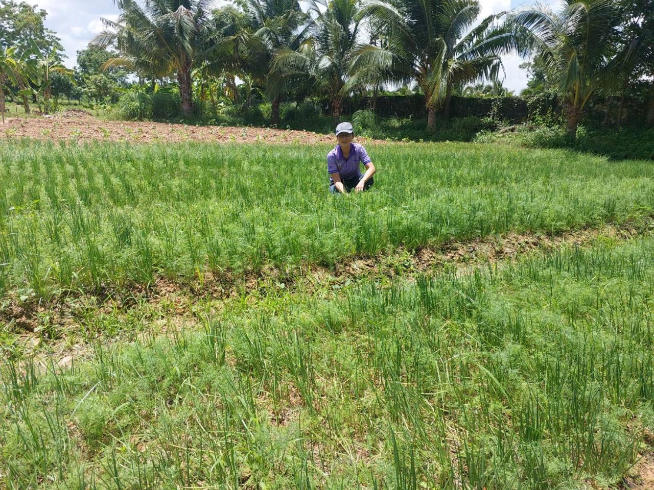 ภาพประกอบที่ 32