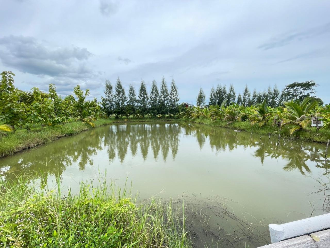 ภาพประกอบที่ 28