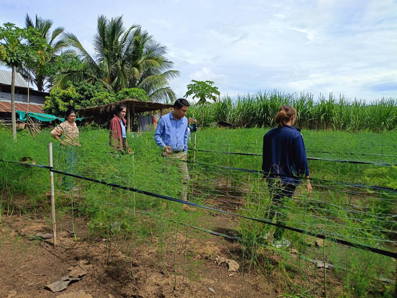 ภาพประกอบที่ 9