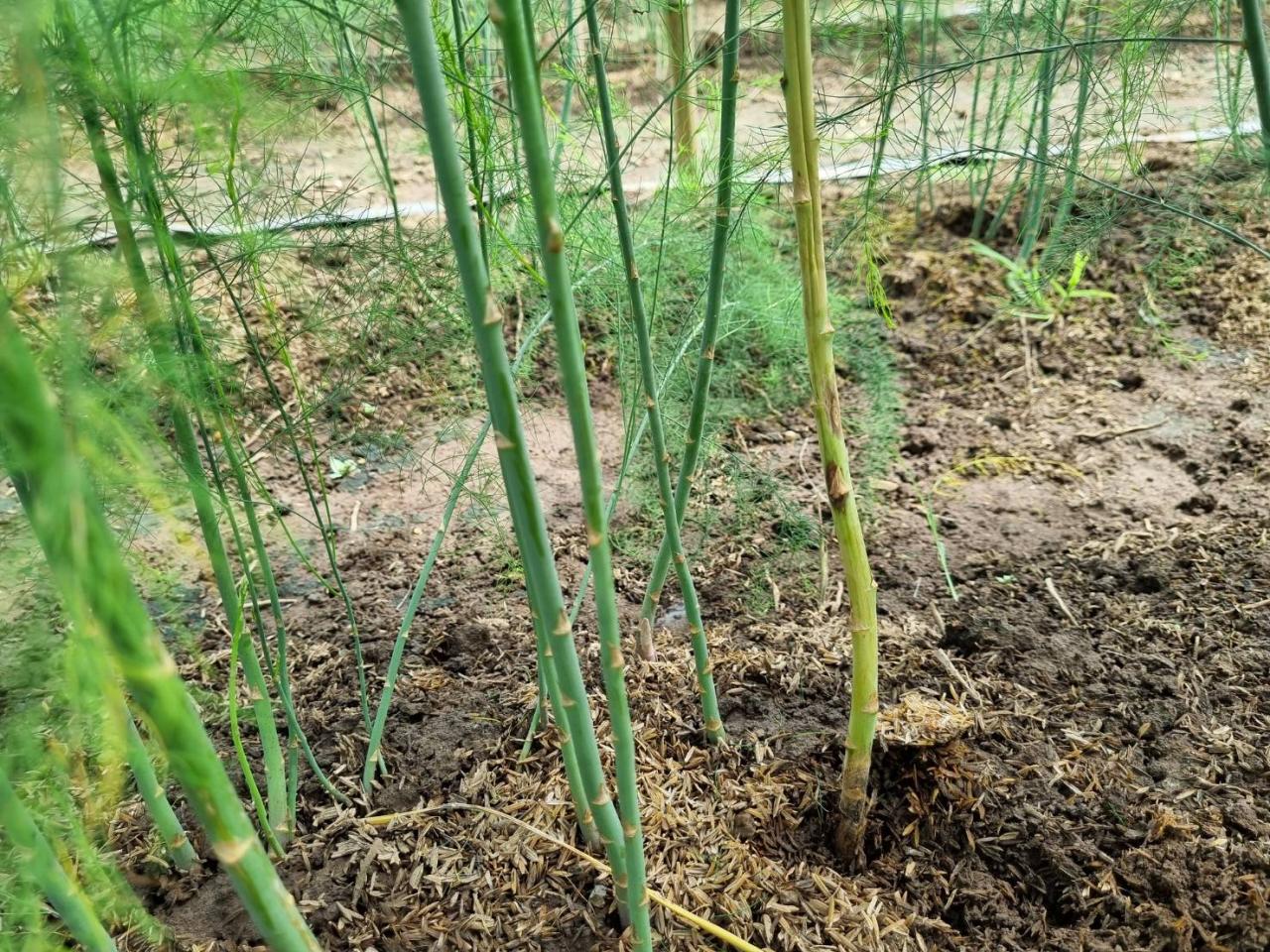 ภาพประกอบที่ 14