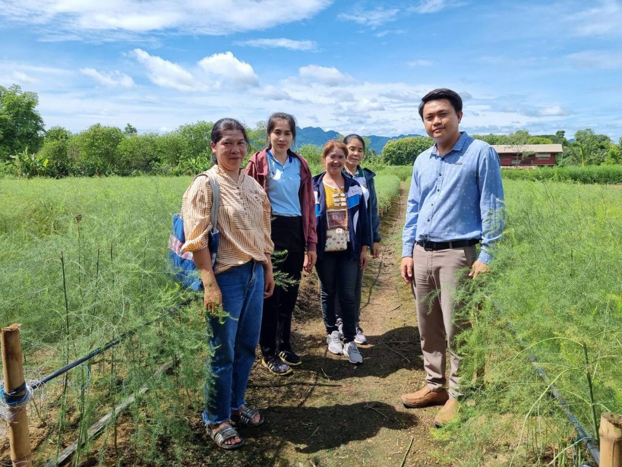 ภาพประกอบที่ 16