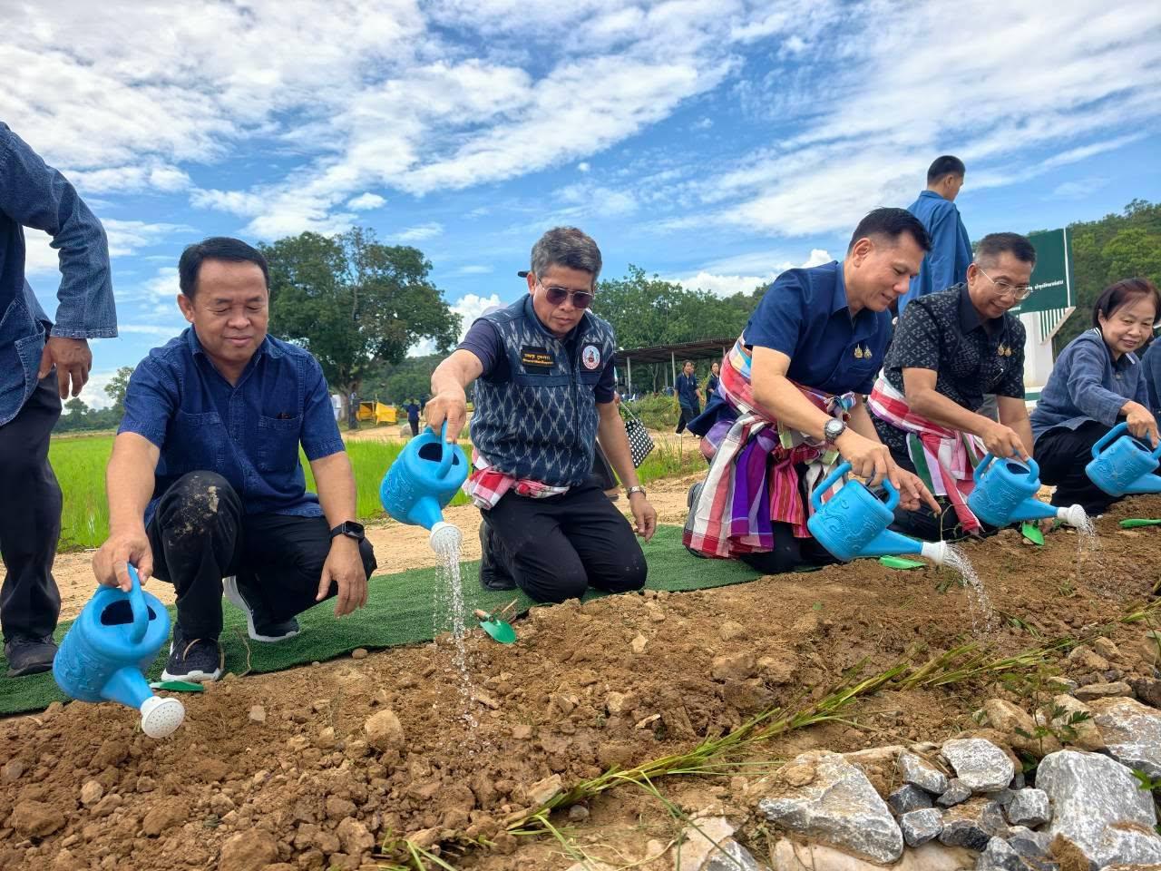 ภาพประกอบที่ 3