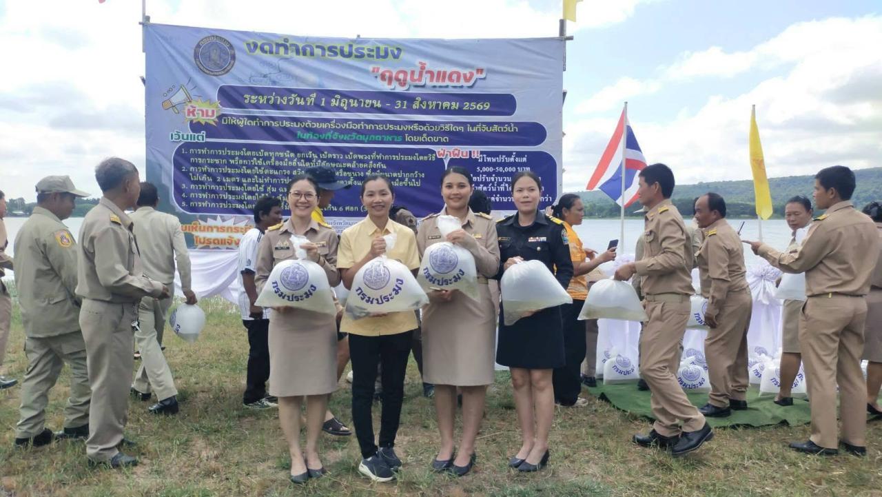 ภาพประกอบที่ 1