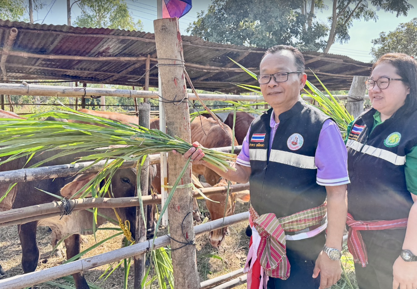 ภาพประกอบที่ 0