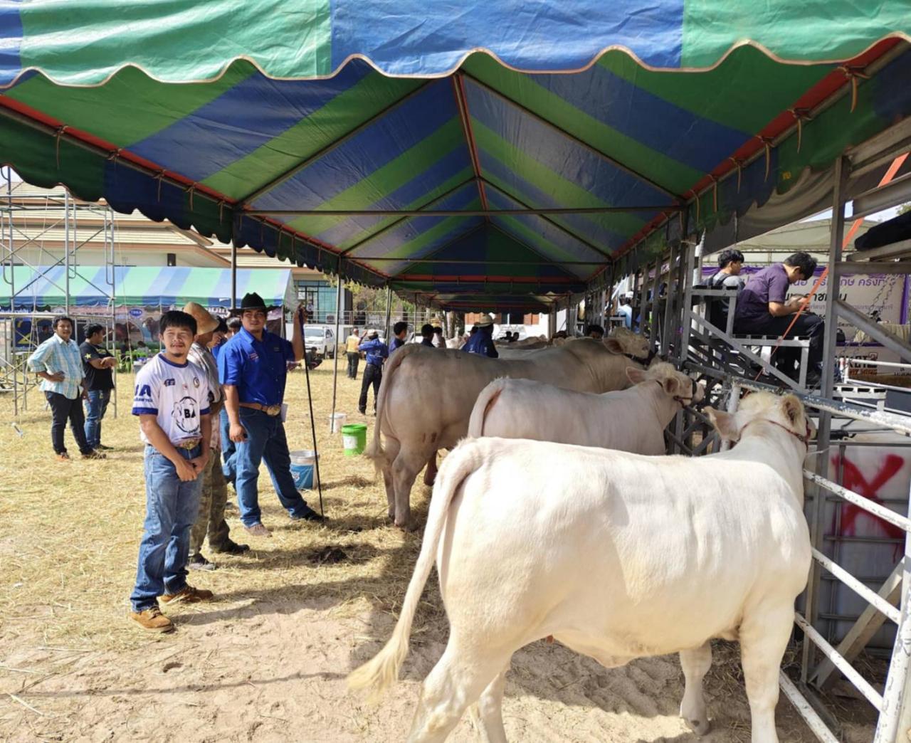 ภาพประกอบที่ 4