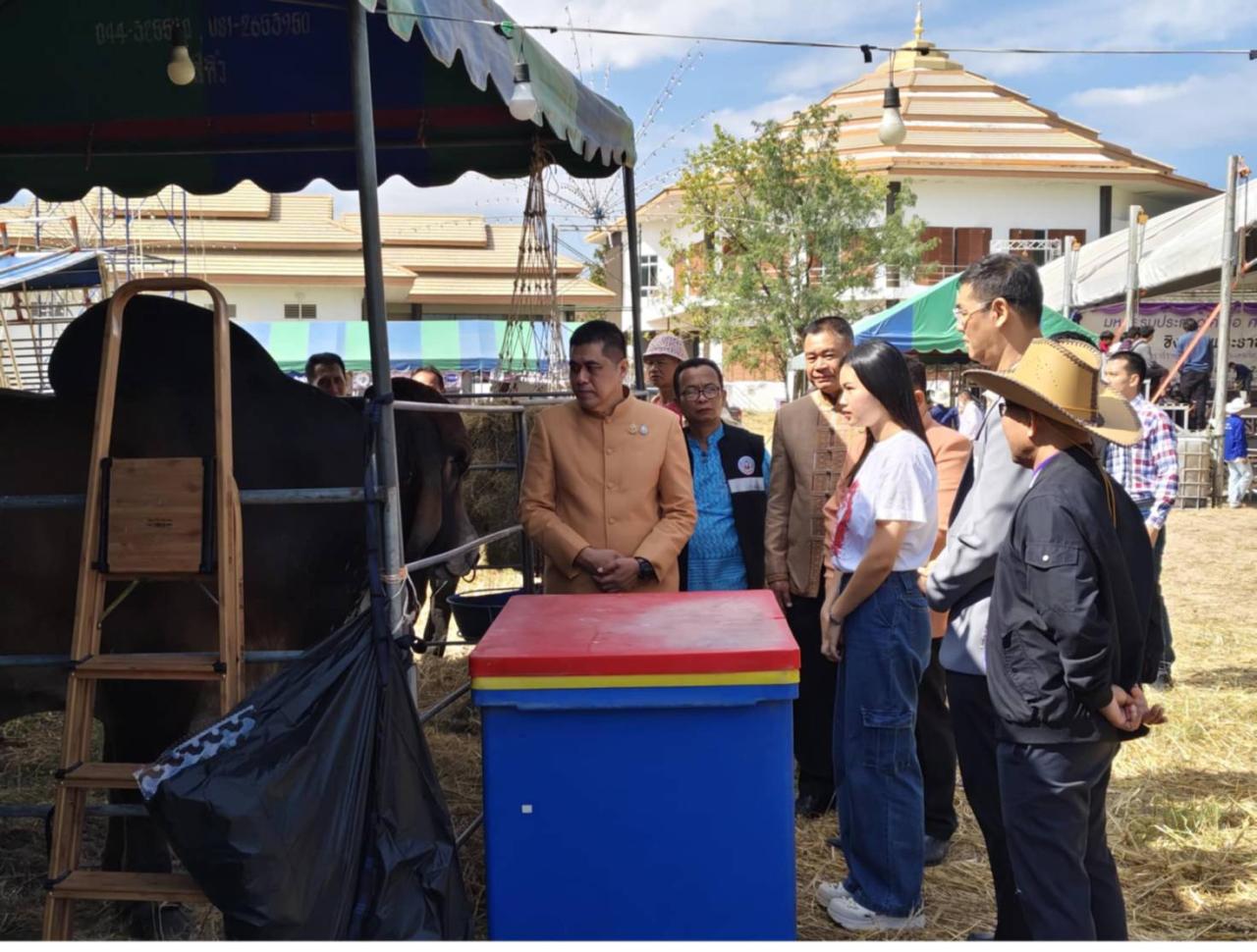 ภาพประกอบที่ 8