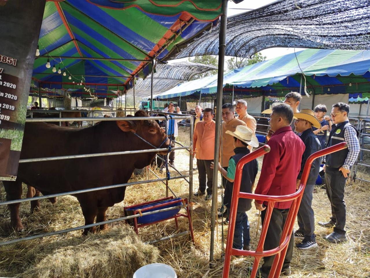 ภาพประกอบที่ 9