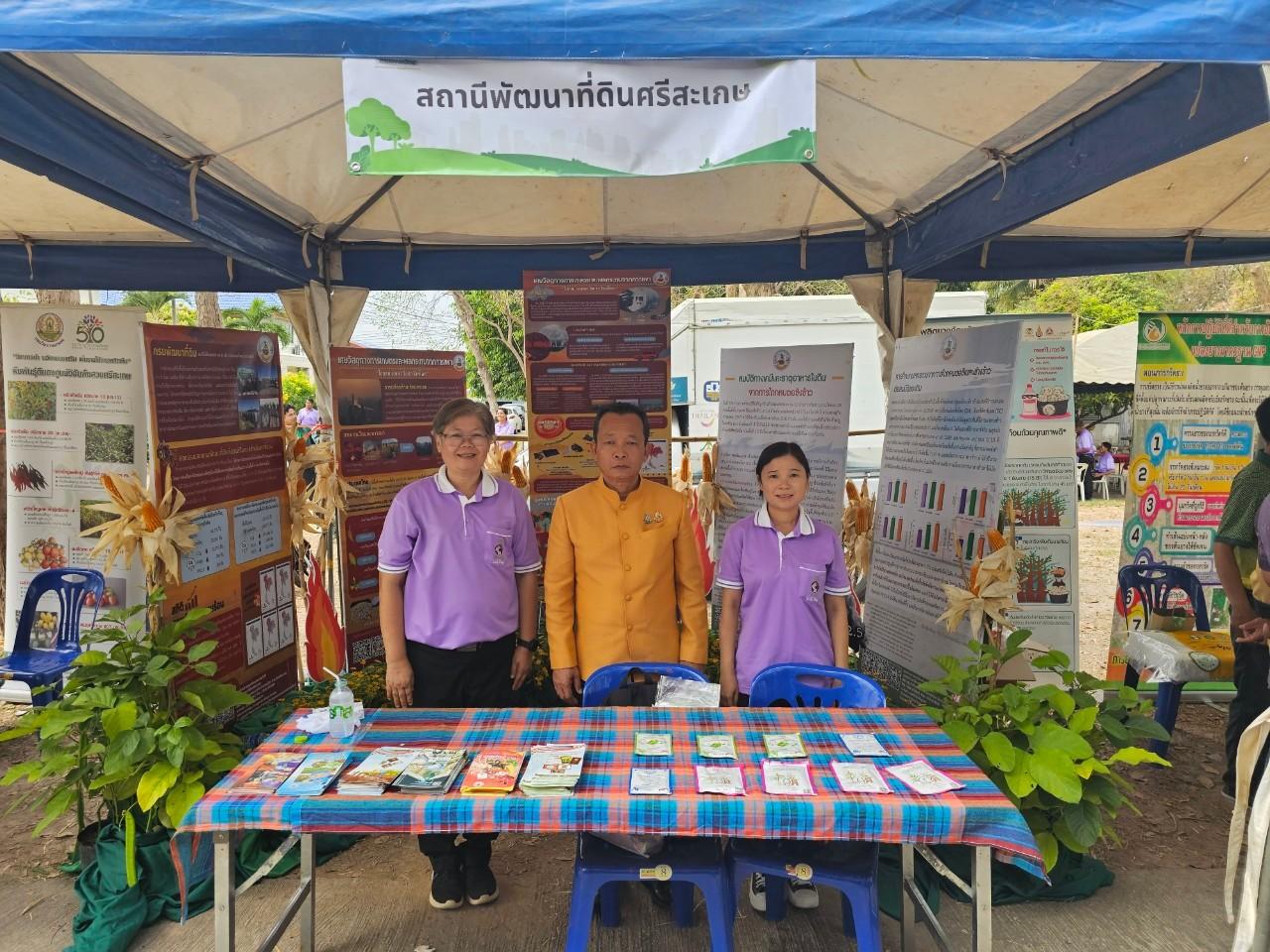 ภาพประกอบที่ 11