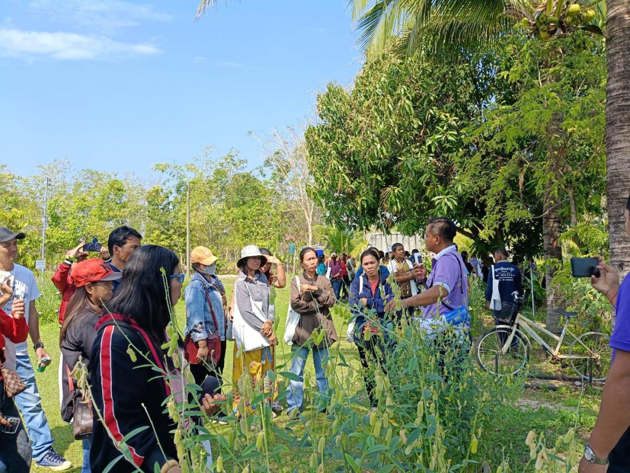 ภาพประกอบที่ 3