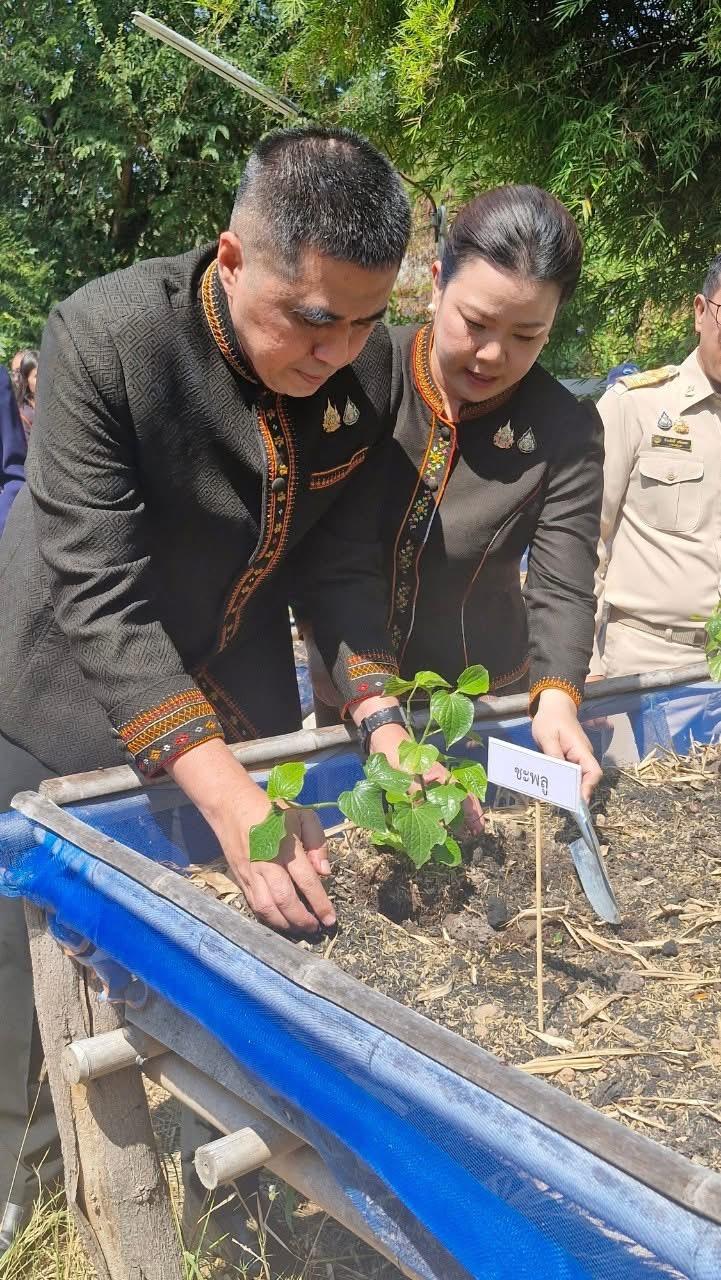 ภาพประกอบที่ 0