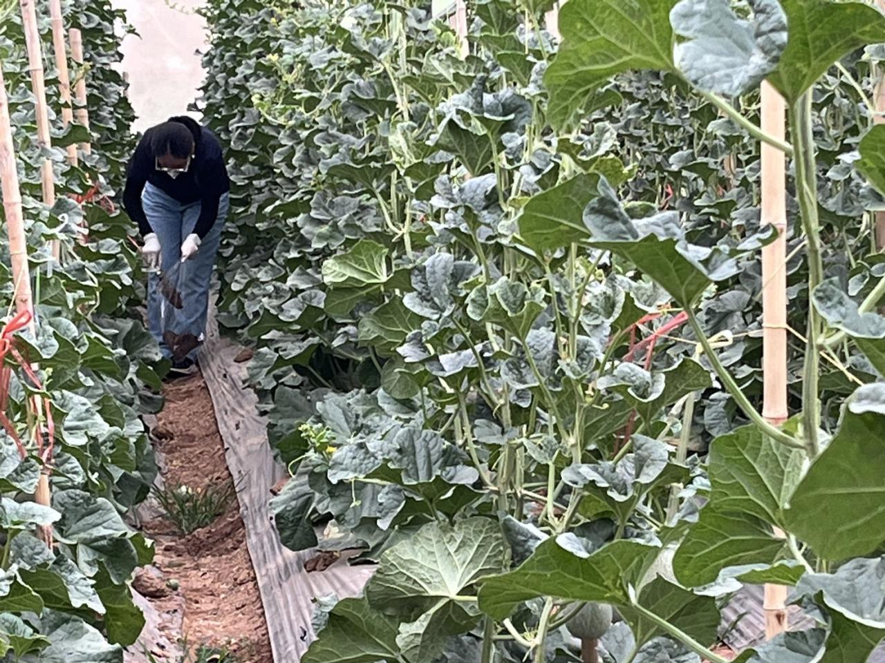 ภาพประกอบที่ 6