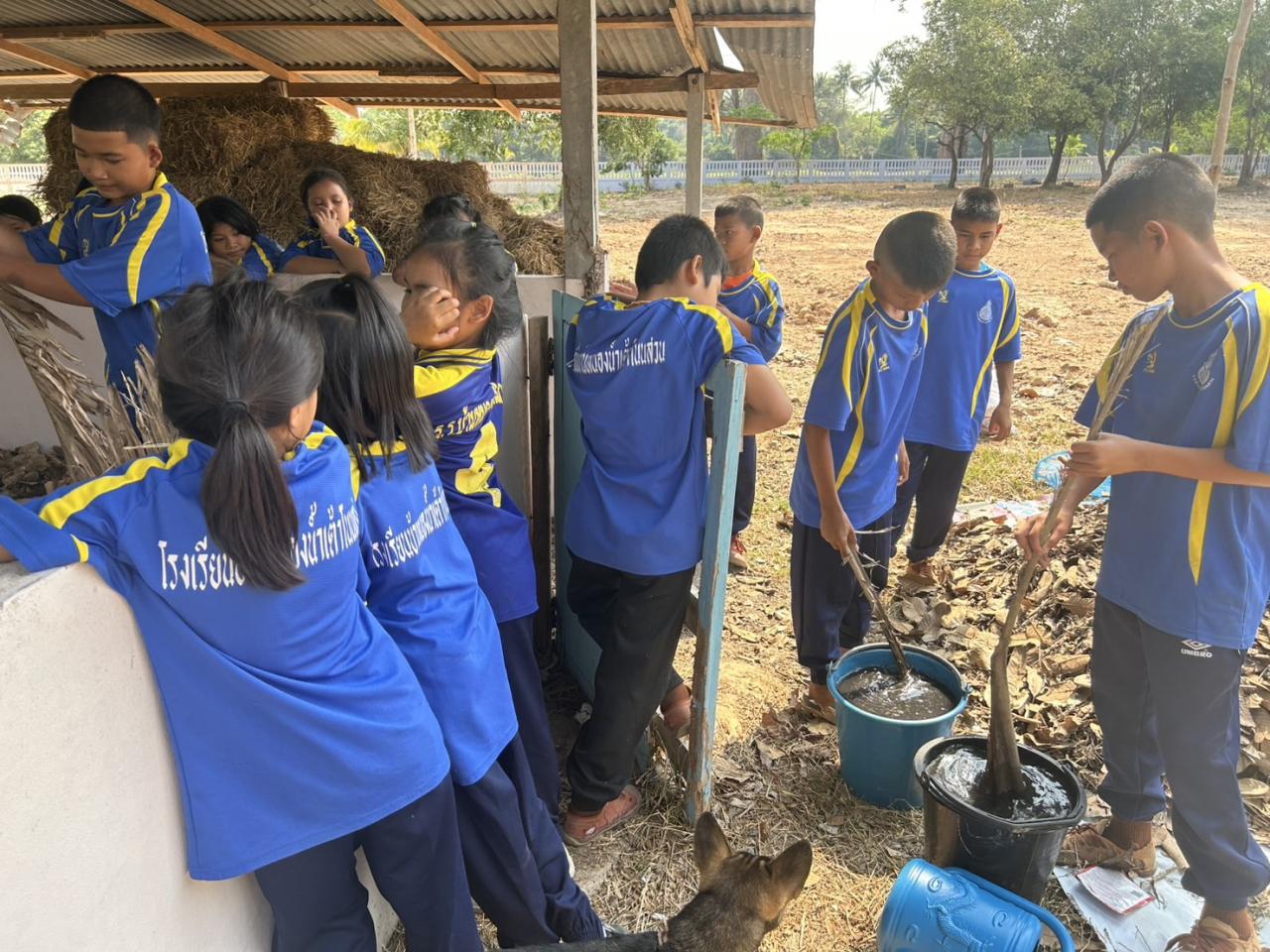 ภาพประกอบที่ 3